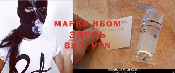 стафф Коряжма