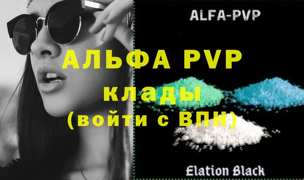 стафф Коряжма