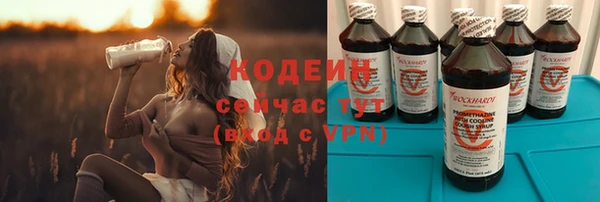 стафф Коряжма