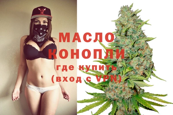 стафф Коряжма