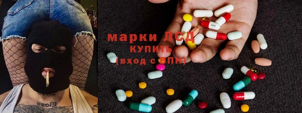 стафф Коряжма