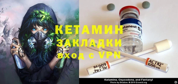 стафф Коряжма