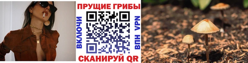 Купить где  Арамиль  Галлюциногенные грибы мицелий 